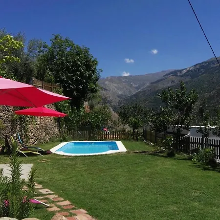 Almez De Lua